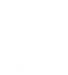 GEBURTSTAGS-PARTYS